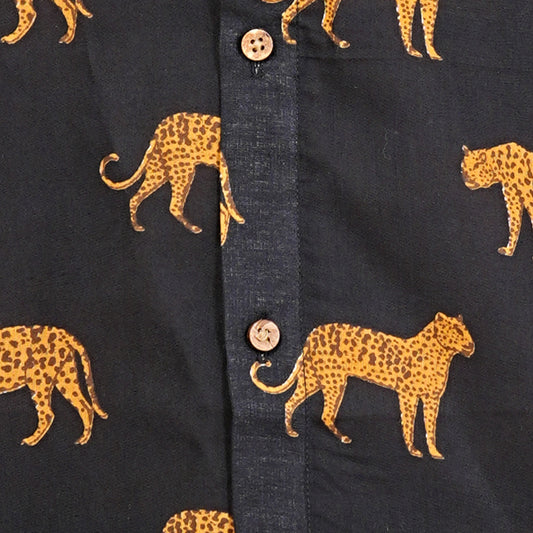 Midnight Safari