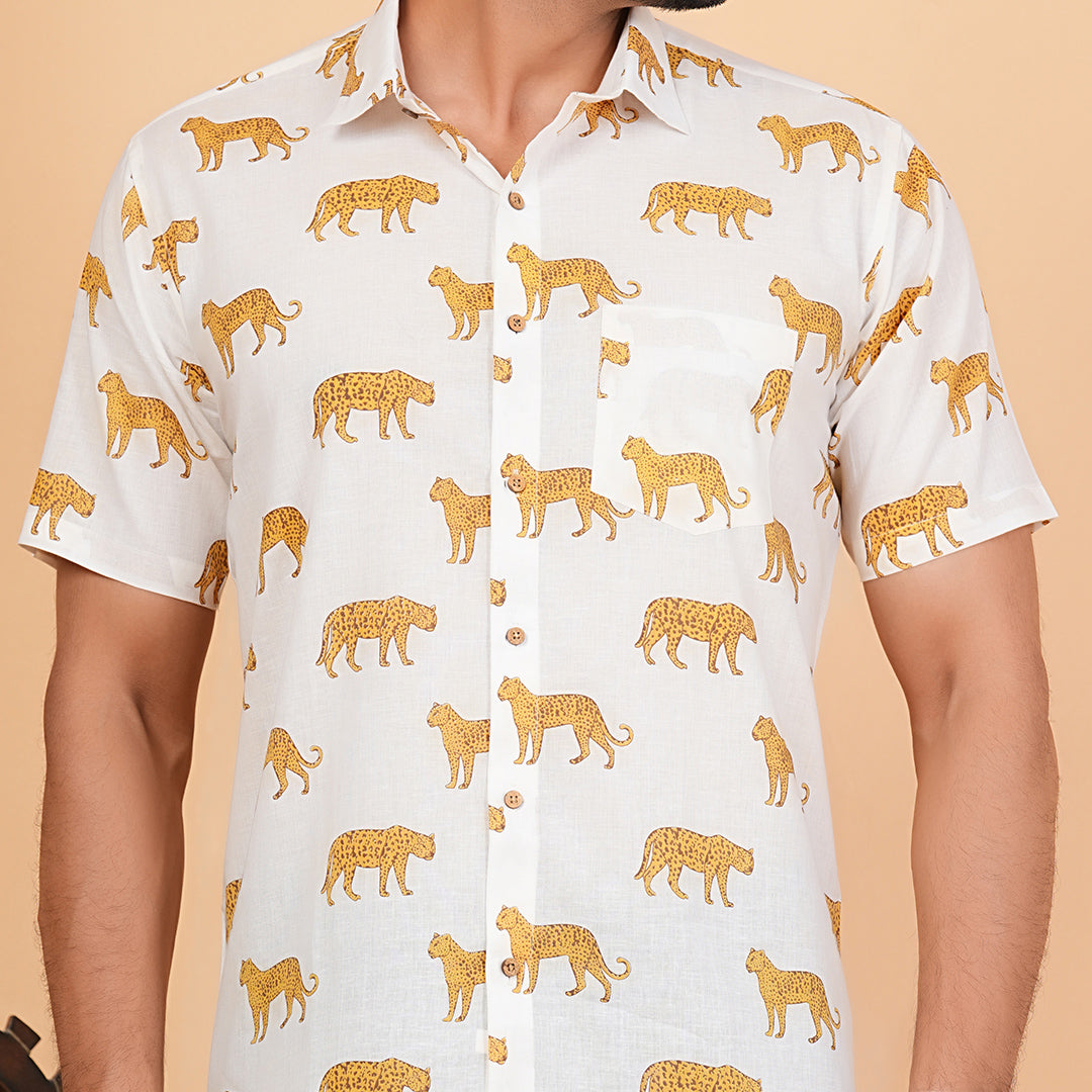 Ivory Safari