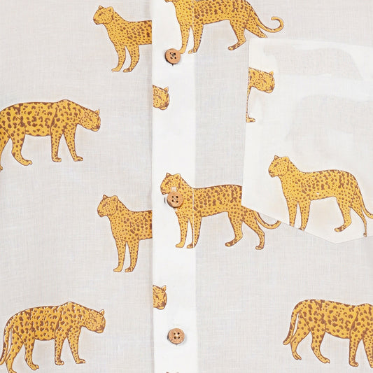 Ivory Safari