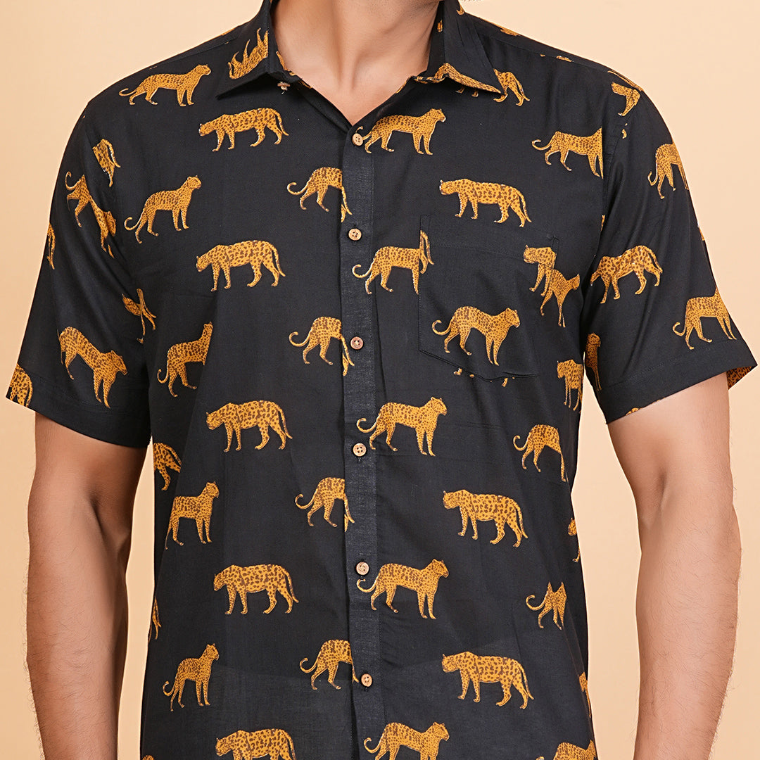 Midnight Safari